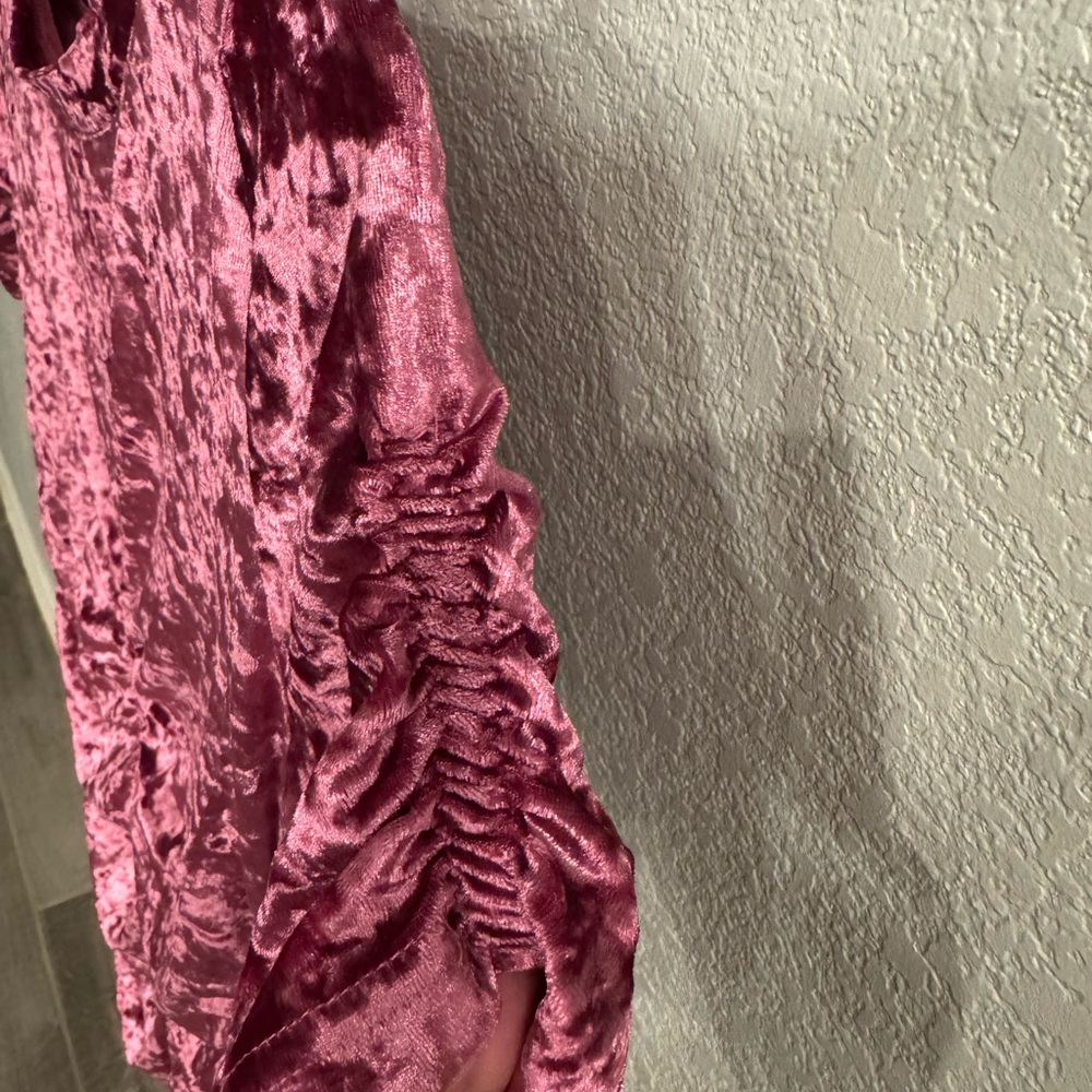 Velvet Ruched Dress - Picture 3 of 4